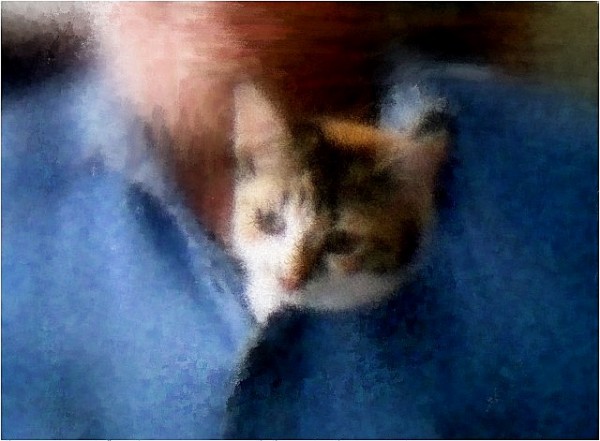 Lucy