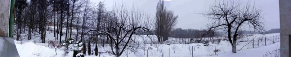 Pohled z okna-nhled