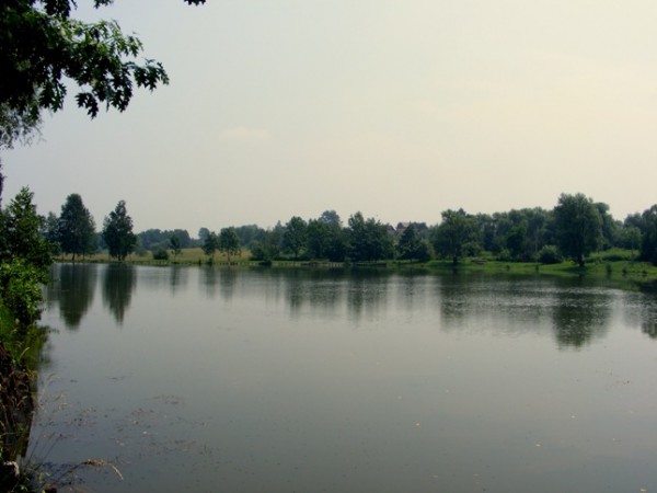 DSCF2747