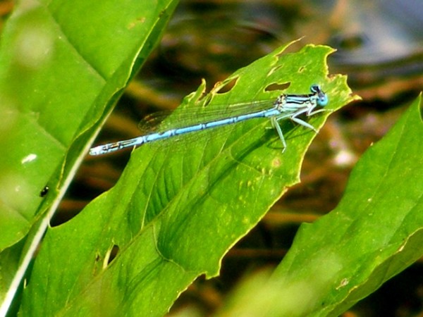 DSCF2761