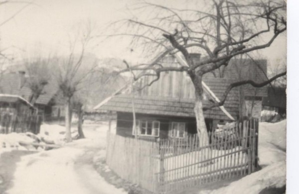 Devnice Hrachoveek 1965 be