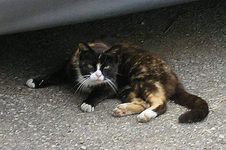 Minda1.JPG