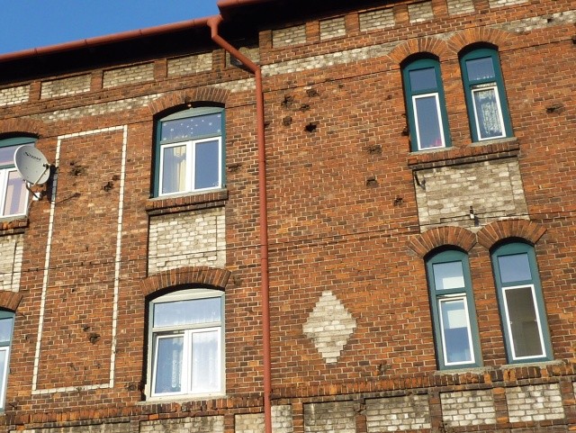 P1010507