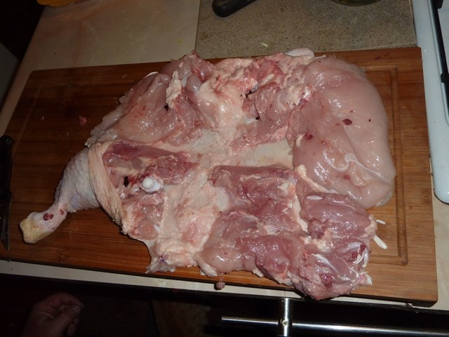 P1010567