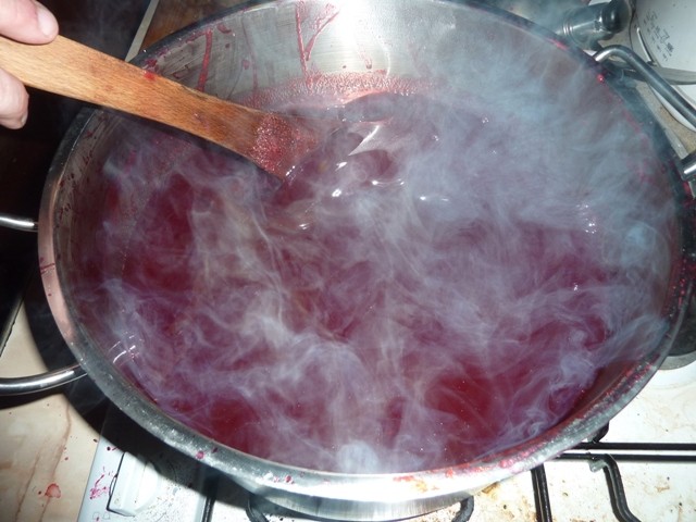 P1020020