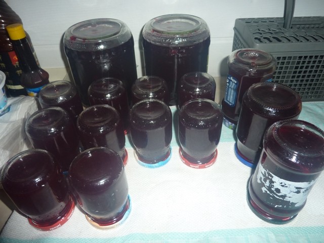 P1020032