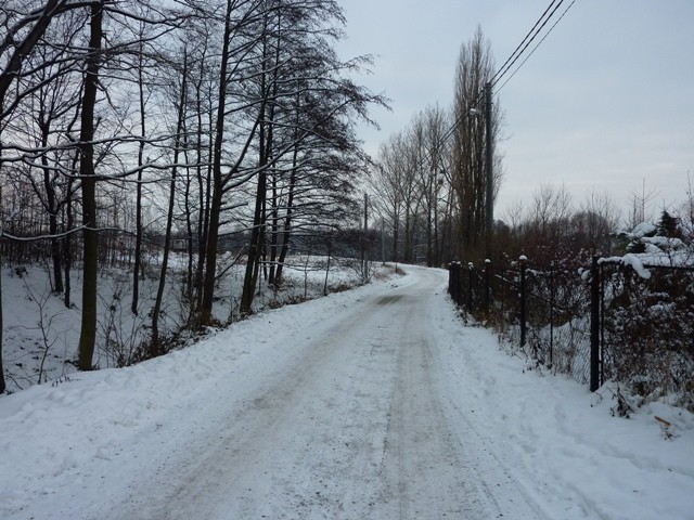 P1030450