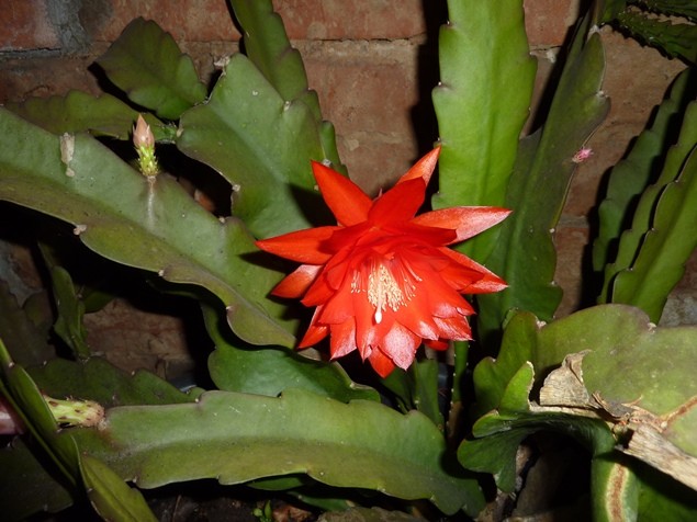 P1040483
