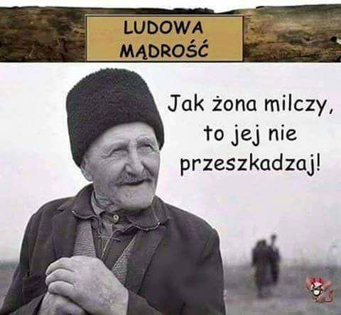 Kdy ml